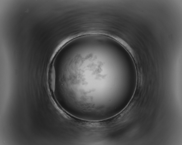 X0000085751006200703231128