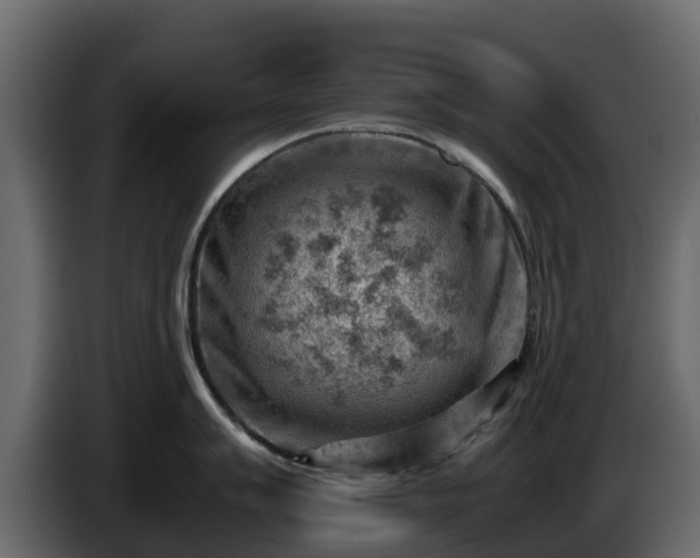 X0000085751007200703231128