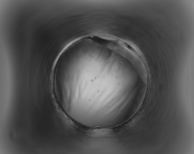 X0000085751008200703231128
