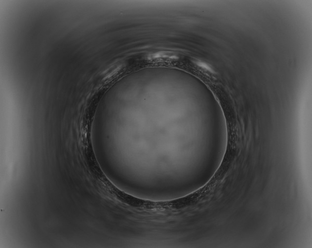 X0000085751013200703231127