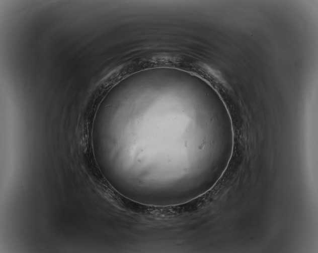 X0000085751015200703231127
