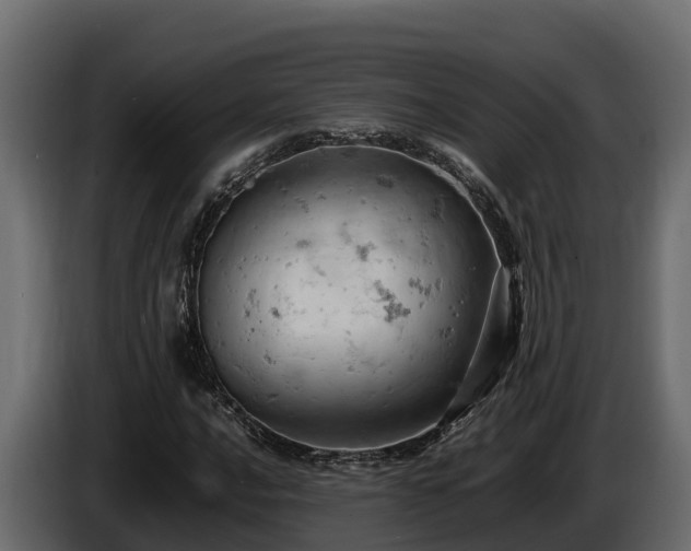 X0000085751016200703231127