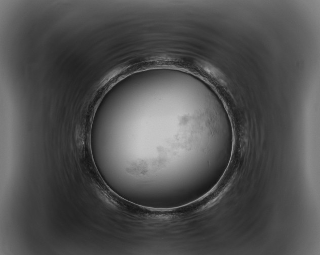 X0000085751017200703231127
