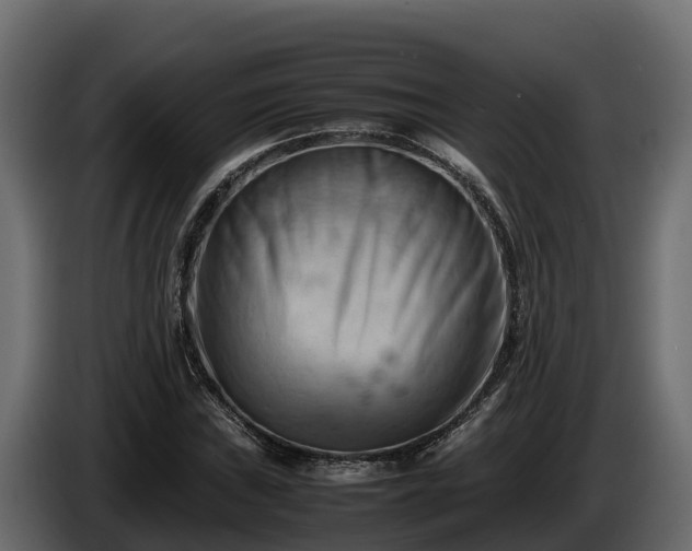 X0000085751019200703231127