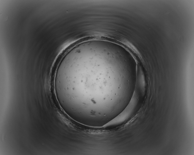 X0000085751020200703231127