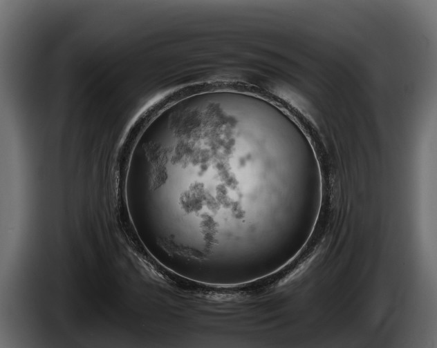 X0000085751021200703231127