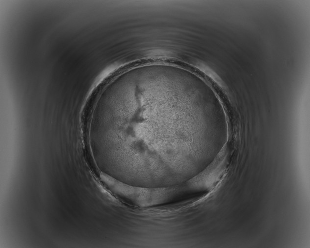 X0000085751022200703231127
