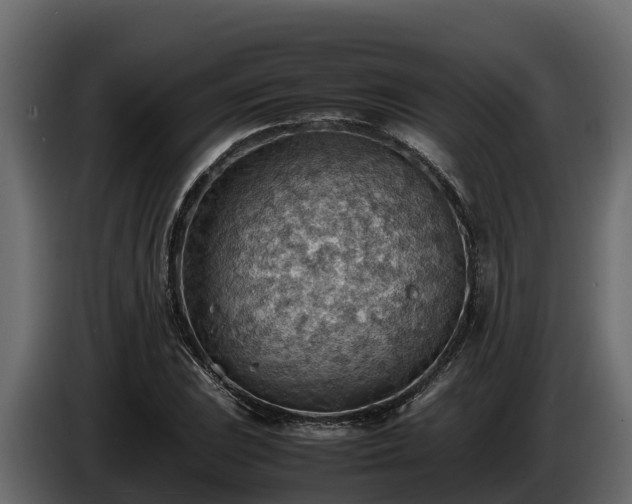 X0000085751023200703231127
