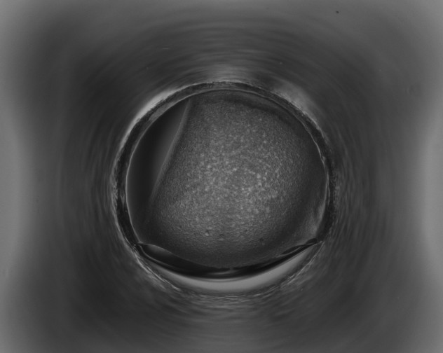 X0000085751024200703231127