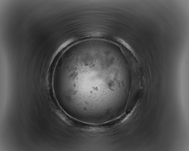 X0000085751026200703231127