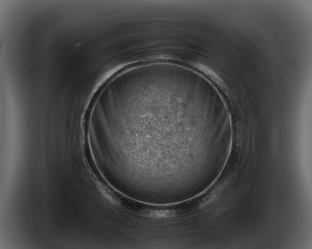 X0000085751031200703231127