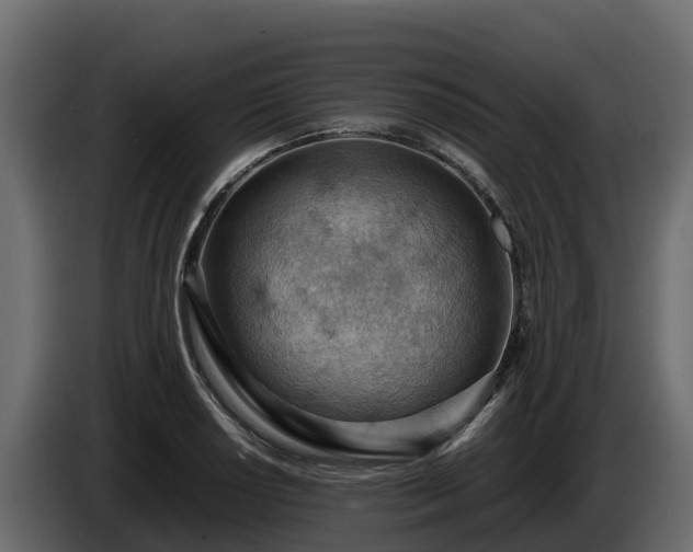 X0000085751034200703231128