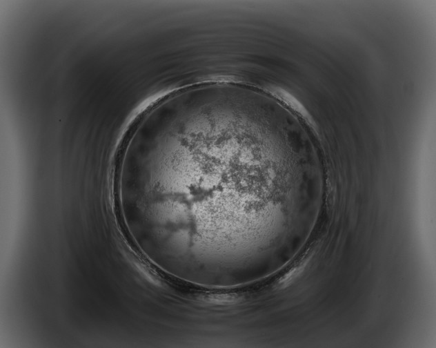 X0000085751035200703231128