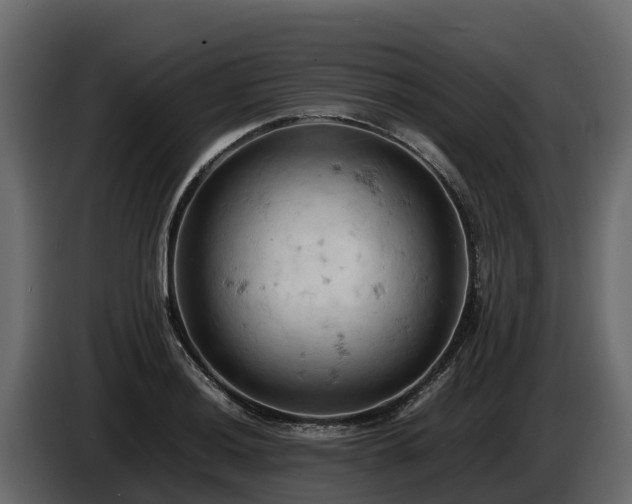 X0000085751036200703231128