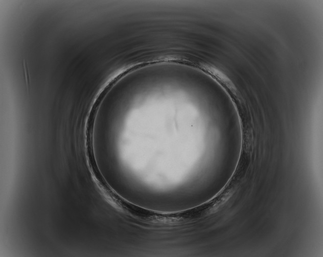 X0000085751039200703231128