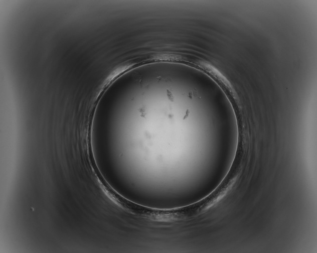X0000085751041200703231128