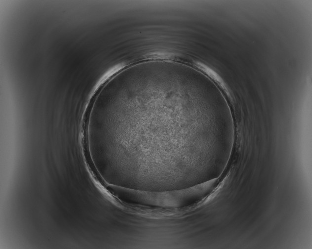 X0000085751042200703231128