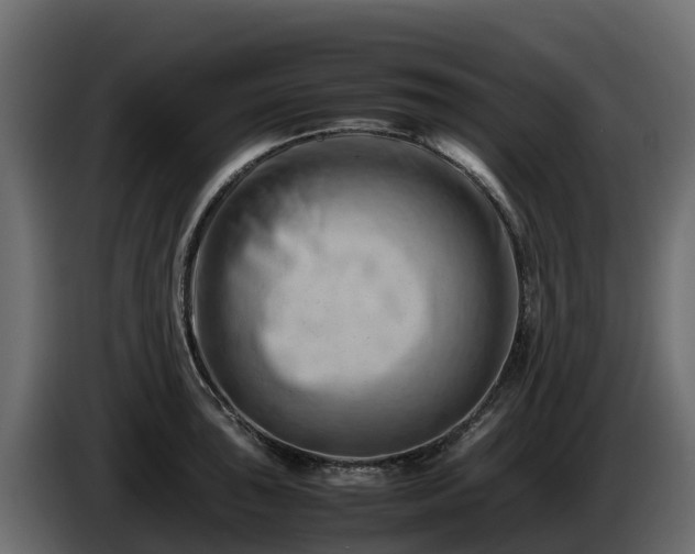 X0000085751043200703231128