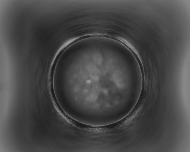 X0000085751045200703231128