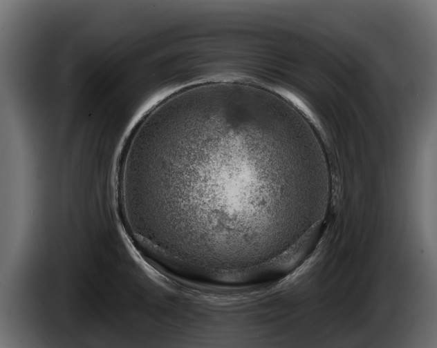 X0000085751046200703231128