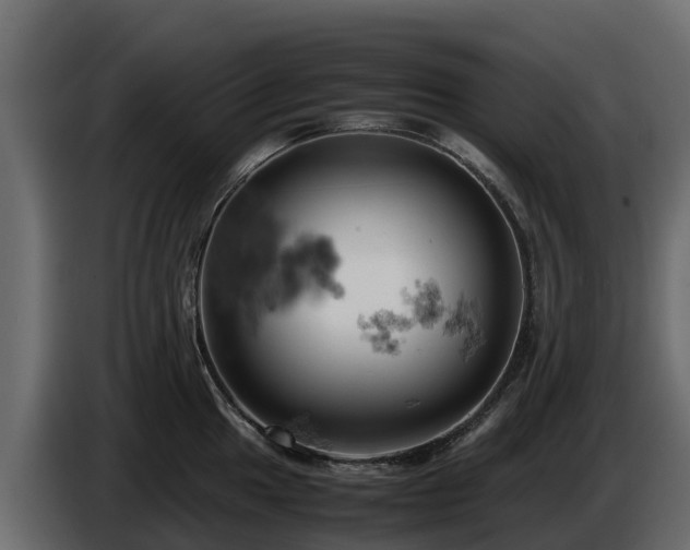 X0000085751049200703231128