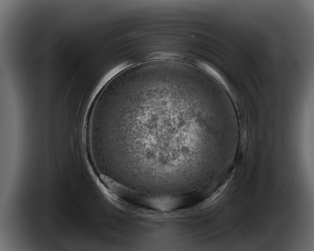 X0000085751050200703231128