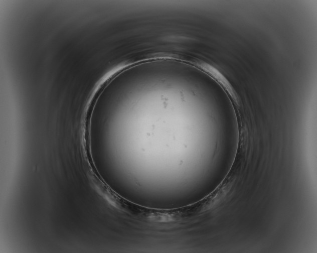 X0000085751051200703231128