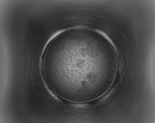 X0000085751053200703231128