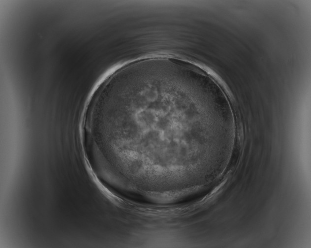 X0000085751054200703231128