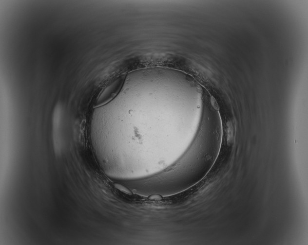 X0000085751059200703231127