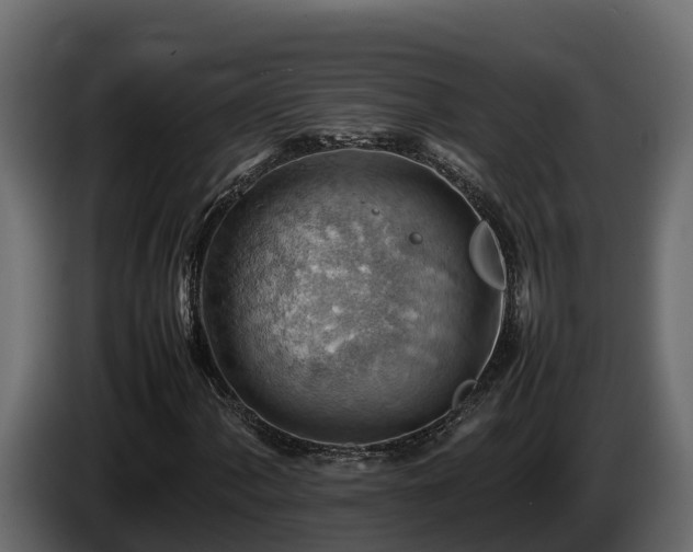 X0000085751060200703231127