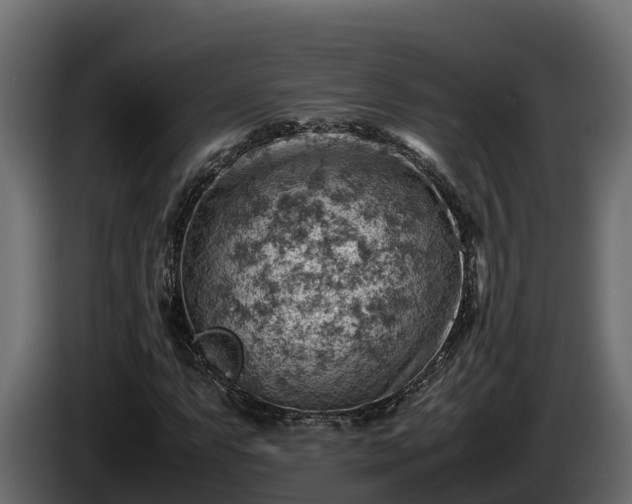 X0000085751063200703231127