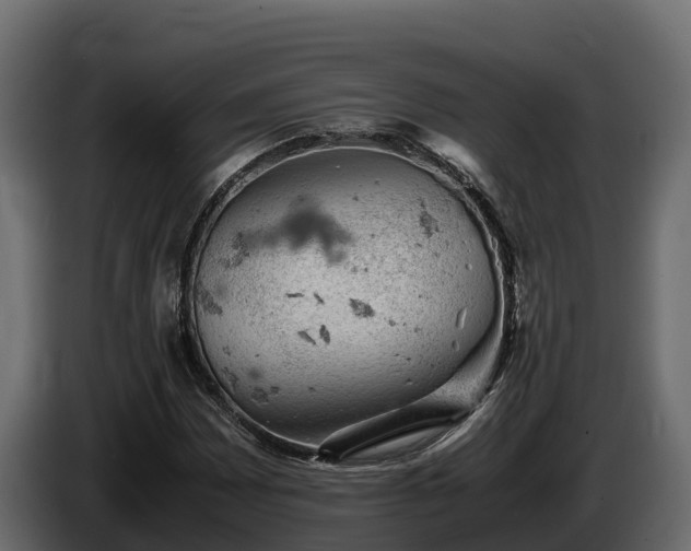 X0000085751065200703231127