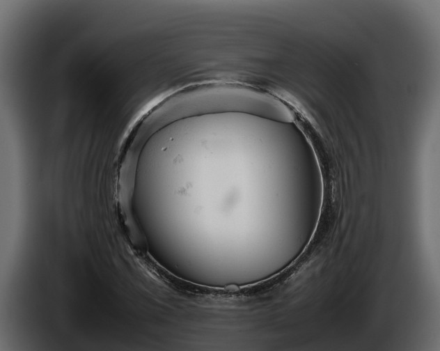 X0000085751069200703231127