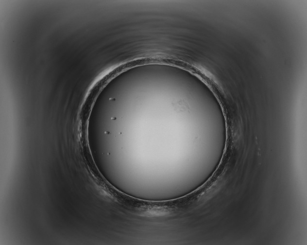 X0000085751070200703231127
