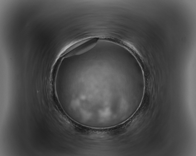 X0000085751071200703231127