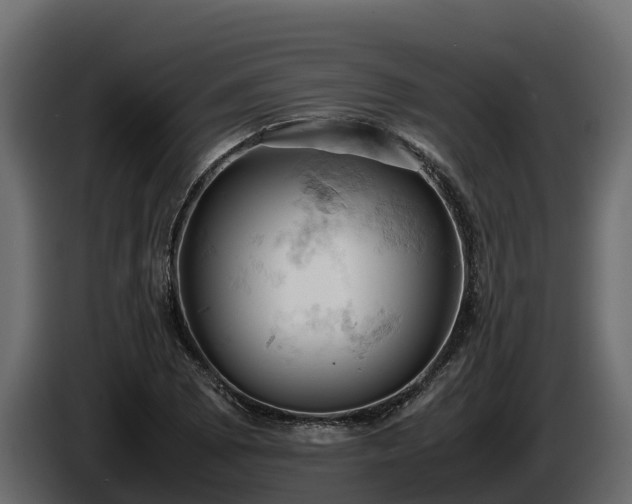 X0000085751073200703231127