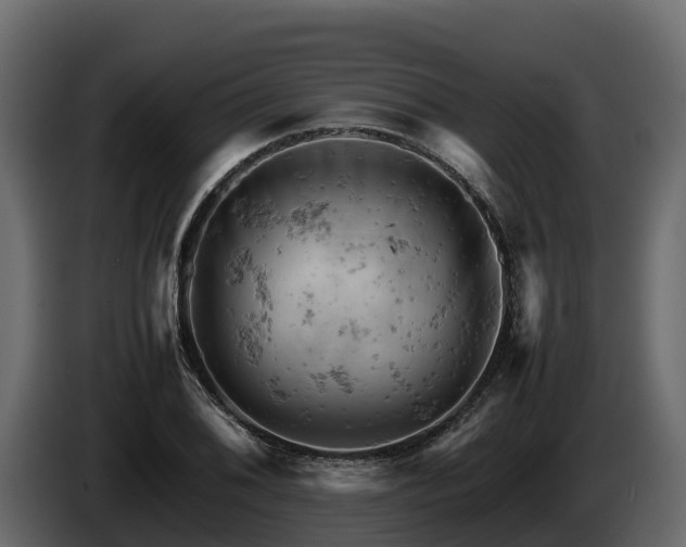 X0000085751076200703231127