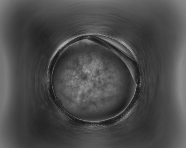 X0000085751077200703231127