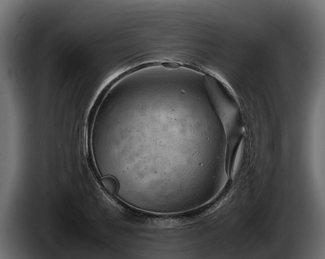 X0000085751079200703231127