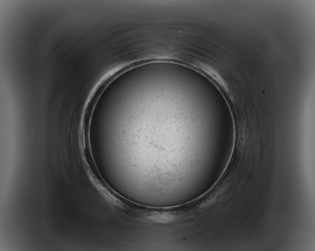 X0000085751080200703231127