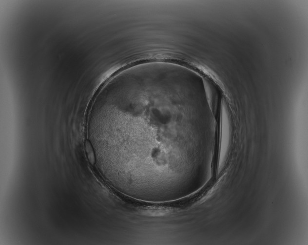 X0000085751081200703231127
