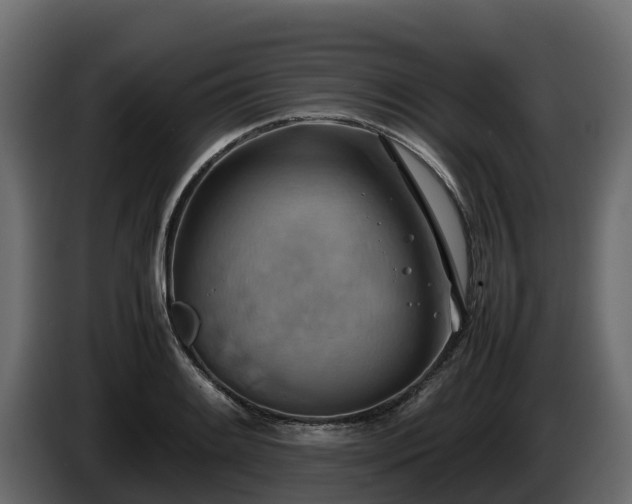X0000085751084200703231127