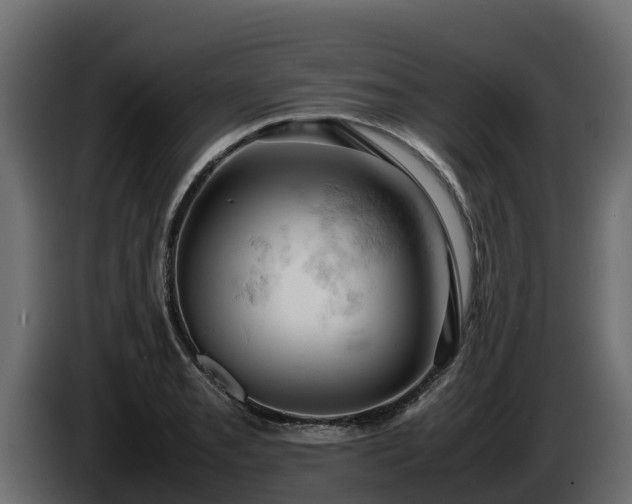 X0000085751085200703231127