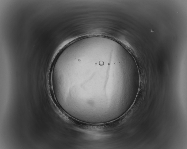 X0000085751086200703231127