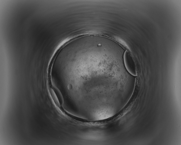 X0000085751087200703231127