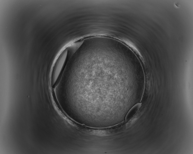 X0000085751088200703231127