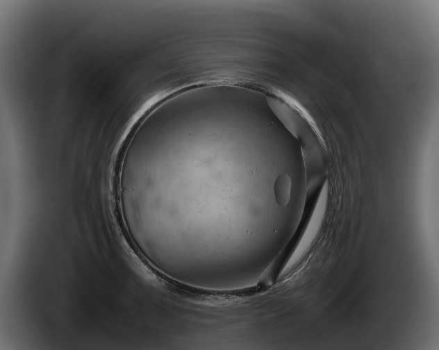 X0000085751091200703231127