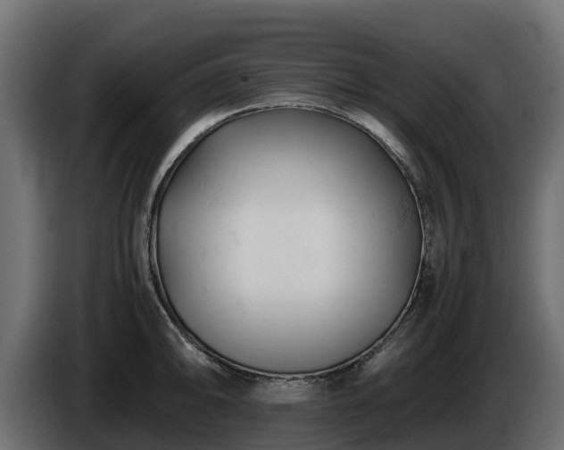 X0000085751094200703231127
