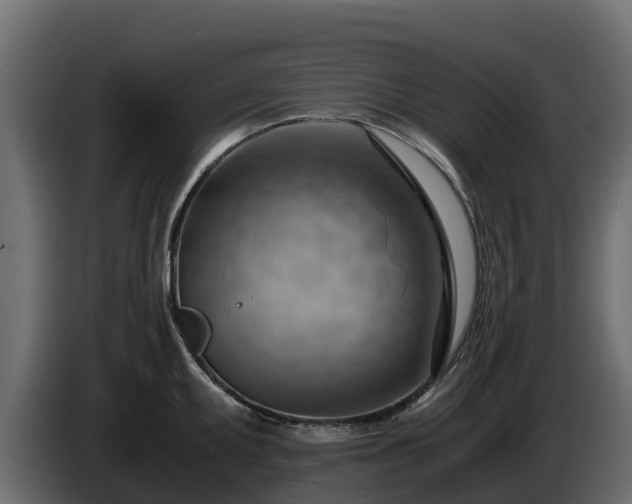X0000085751095200703231127